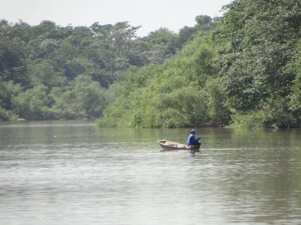 Pescador ribeirinho praticando a atividade no Rio Cuiab - MT
