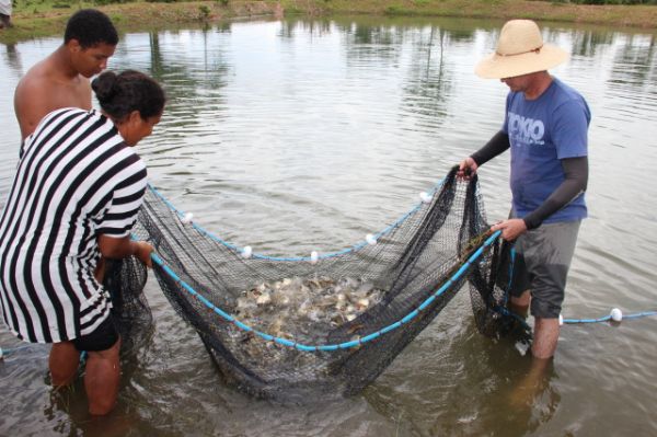 FCO Rural ter 40% dos recursos destinados para piscicultura e irrigao