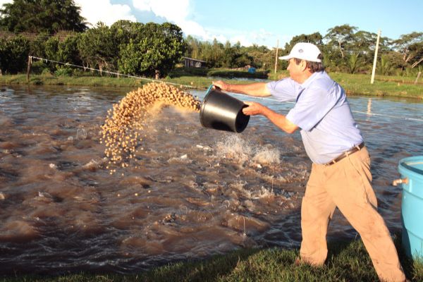 Viabilidade econmica da piscicultura em Mato Grosso ser debatida na 52 Expoagro