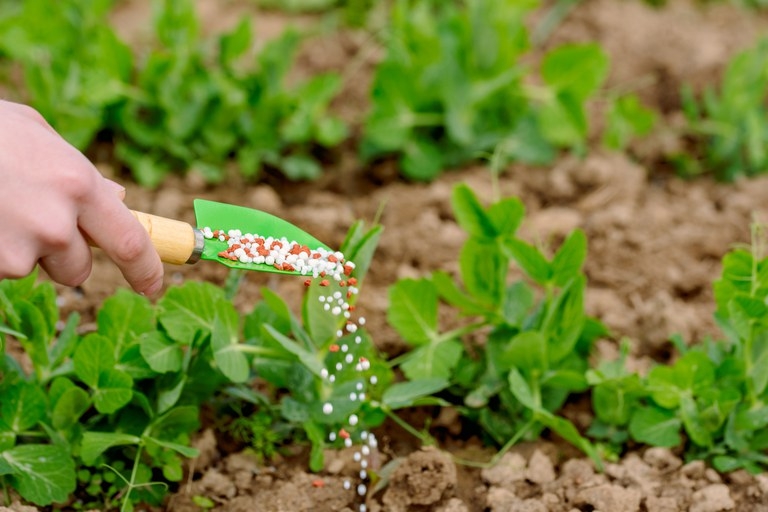 Mato Grosso apresenta supervit de 28,78 bilhes de dlares na balana comercial em 2023