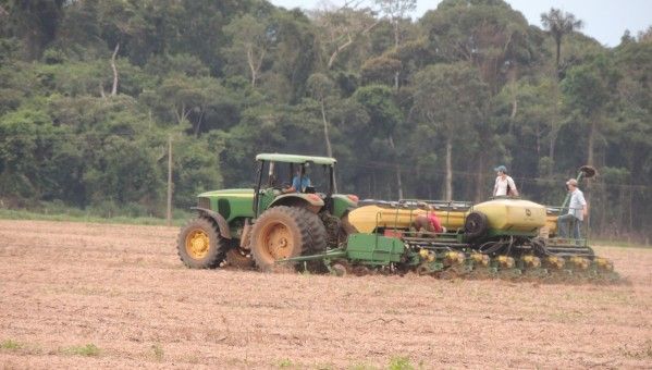 Produtores reclamam que os bancos no esto liberando dinheiro para o custeio do plantio