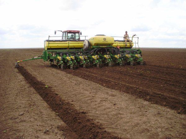 Produtor arrisca plantio nas primeiras chuvas na expectativa de boa 2� safra