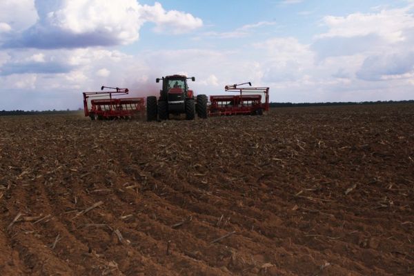 Plantio do milho 2 safra atinge 26,69% da rea em Mato Grosso; algodo 84%