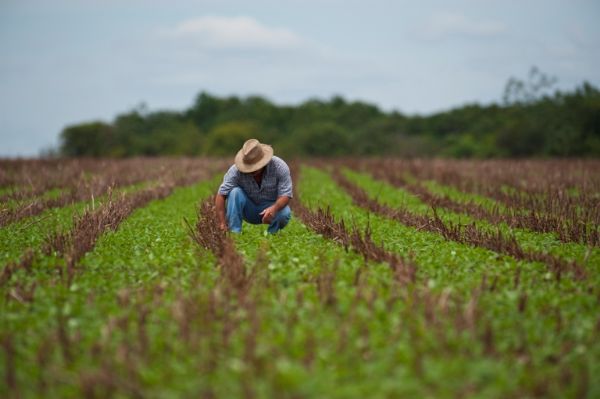 Sema emite 1.022 Autorizaes Provisrias de Funcionamento de Atividade Rural