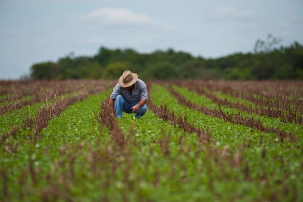 Mato Grosso cria mais de 14 mil vagas de emprego em 2017; Estado  o 7 com maior saldo positivo em fevereiro