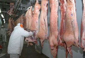 Brasil comea o ano exportando mais carne suna in natura