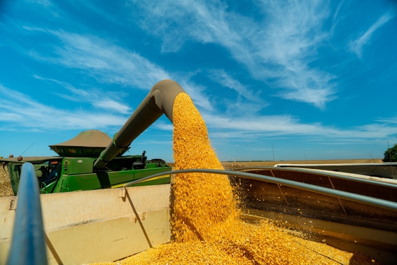 Lucas do Rio Verde estabelece modelo de produ��o agr�cola iniciado nos anos 2000 com milho como pilar