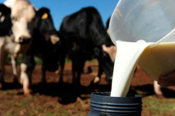 Litro do leite pago ao produtor em Mato Grosso varia 13,3% em 2015