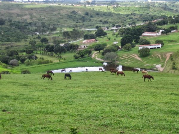 Famato e Incra realizam capacitao em junho sobre o Sistema Nacional de Cadastro Rural
