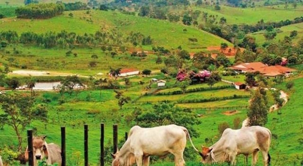 Em Mato Grosso, menos de 2% das propriedades rurais inscritas no CAR esto regularizadas