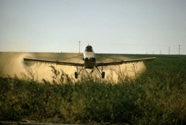 Uso de agrotxicos em Mato Grosso dever ter fiscalizao intensificada