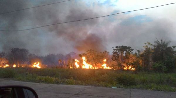 Perodo proibitivo de queimadas em Mato Grosso segue at 15 de outubro