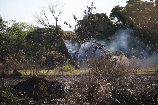 Brasil tem recorde de queimadas e Mato Grosso  responsvel por 21,6% dos focos