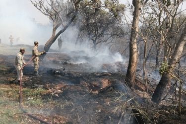 Umidade do ar chega a 18% e Mato Grosso acumula mais de dois mil focos de calor