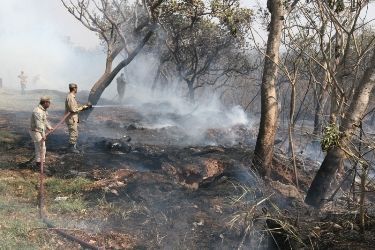 Mato Grosso lidera focos de queimadas em 2014 com 26,1% dos casos do país; Tocantins é o segundo