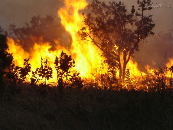 Mato Grosso aparece me 2 lugar em numeros de queimadas
