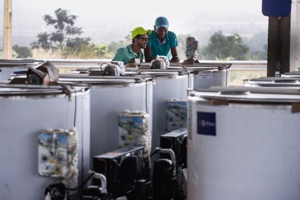 Refrigeradores de leite so entregues para 24 municpios em Mato Grosso