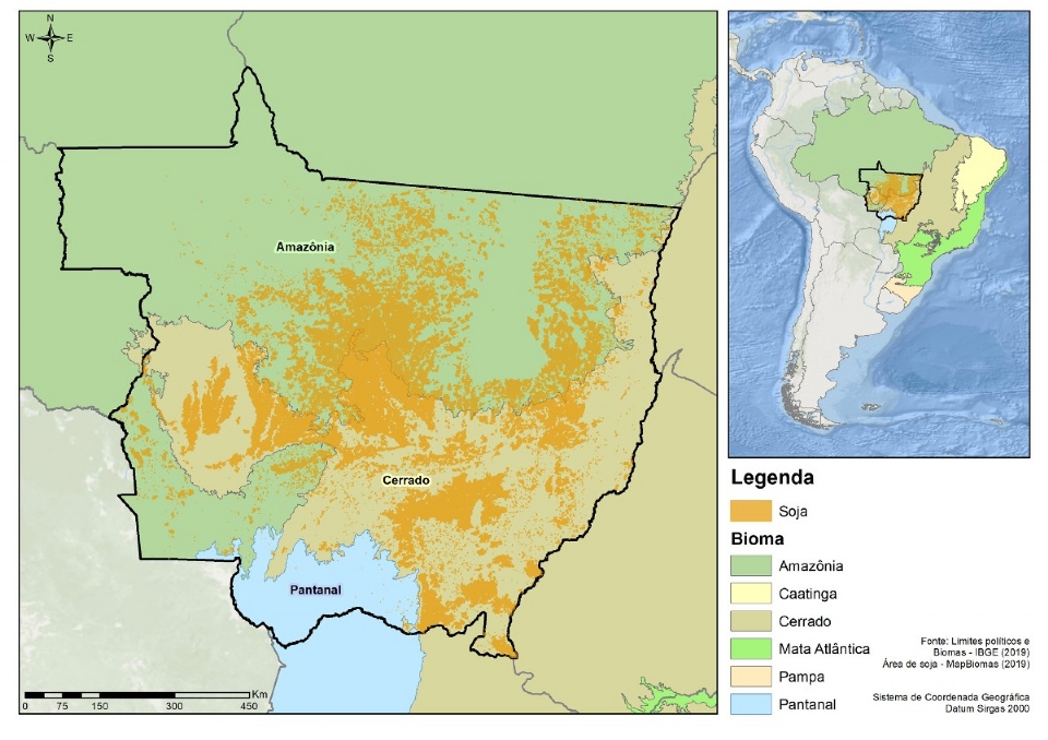 Em onze anos, 92% do desmatamento em fazendas de soja de Mato Grosso foi ilegal