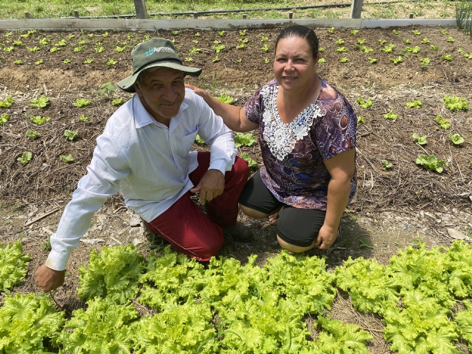 MAPA credencia Rede de Produo Orgnica para certificar produtores no norte de MT