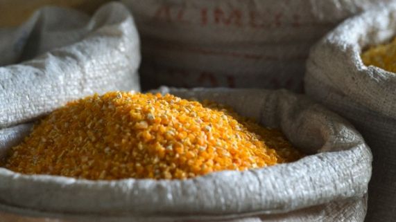 Valor do prmio em Leilo do Pepro do milho chega a R$ 3,55 por saca em MT