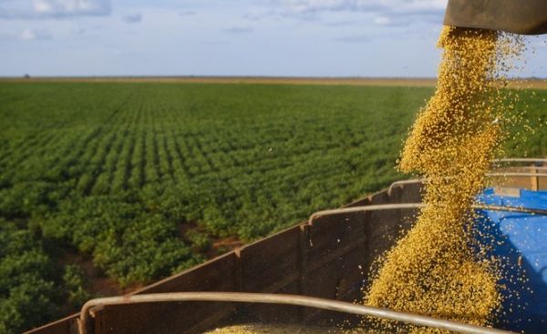 Safra 2013/2014 de soja j foi 62% comercializada mas ainda registra atraso em relao  temporada anterior