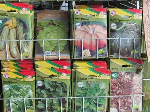 Prefeitura distribui sementes de hortalias para incentivo de cultivo e melhorar alimentao