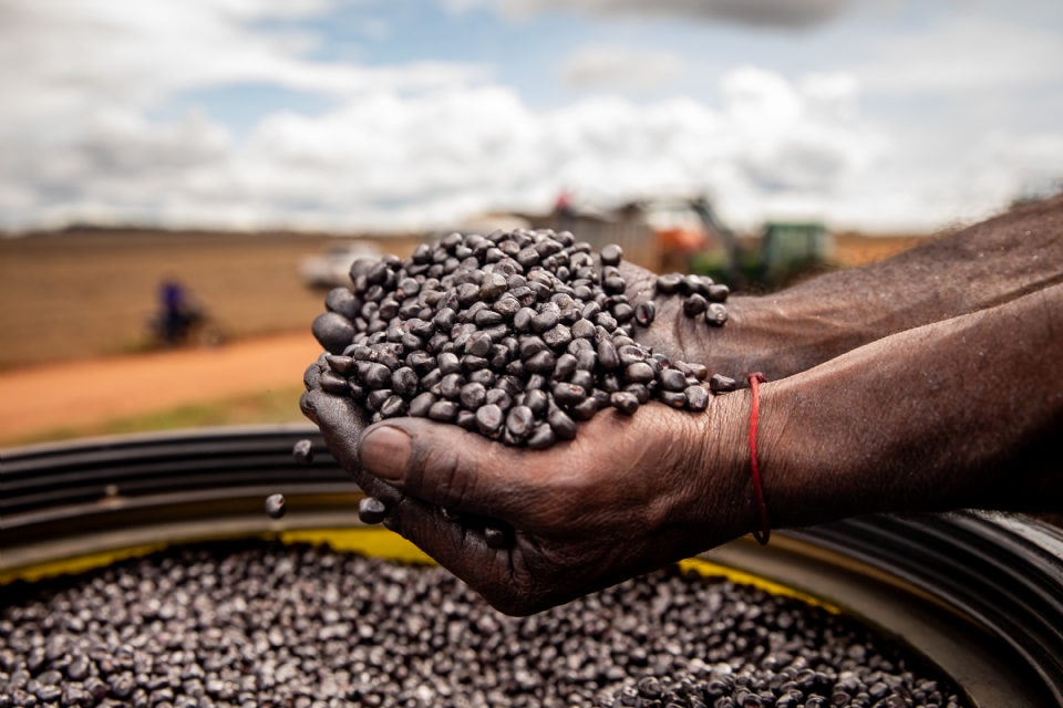 Sedec busca solues inovadoras para o setor de sementes em misso tcnica internacional