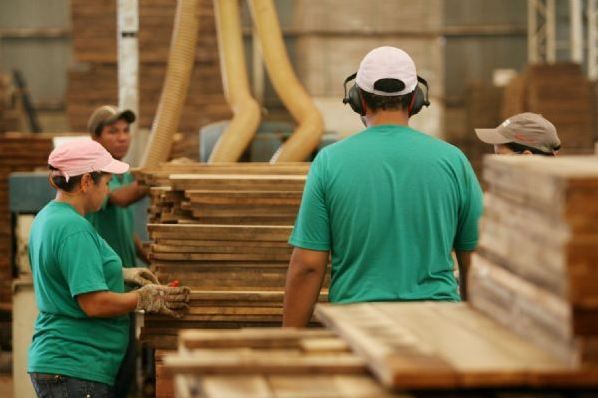 Trabalhadores da indstria madeireira tero aumento salarial de 8% a partir de setembro