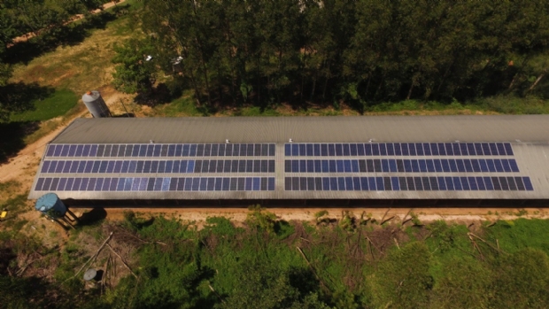 Sicredi libera R$ 40,6 milhes em crdito  para projetos de energia solar