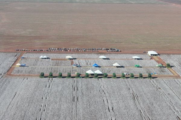 Produtores de algodo tero Dia de Campo