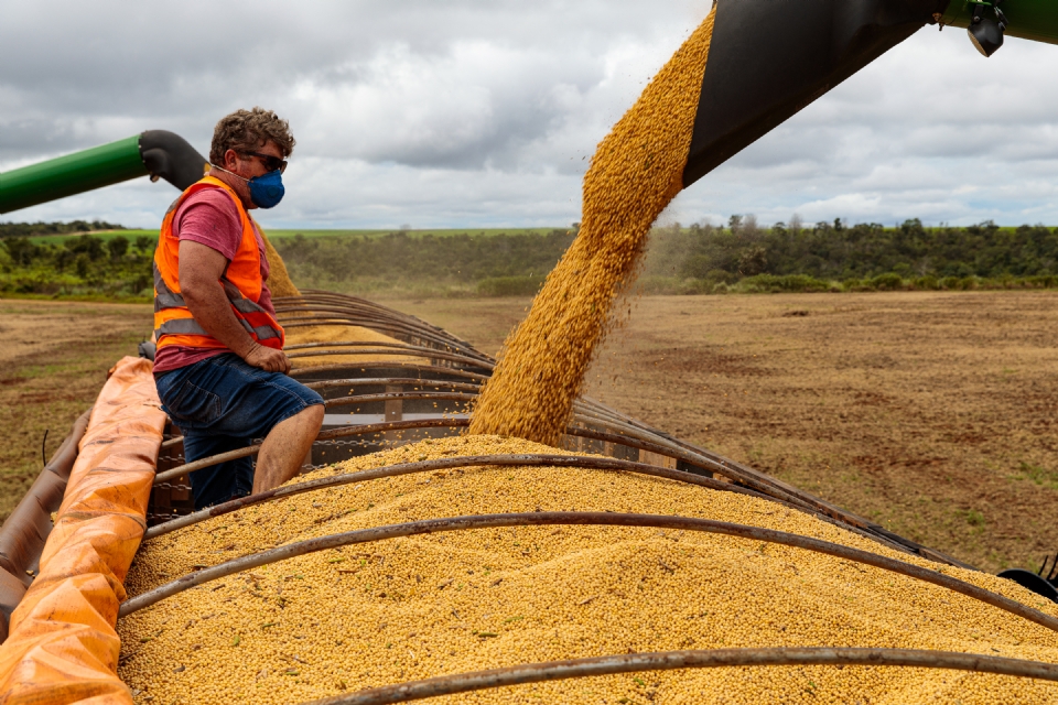 Mato Grosso exportou mais de 24 toneladas de soja em sete meses, aponta Secex
