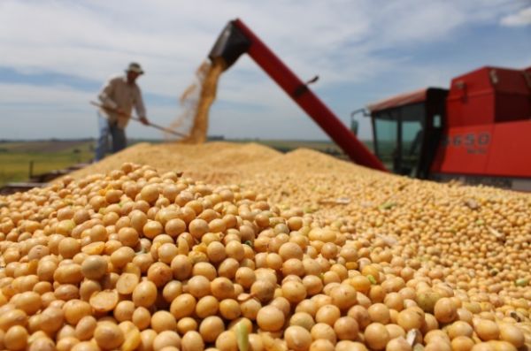 Brasil poder ter que pagar royalties de soja e milho a partir de 2014