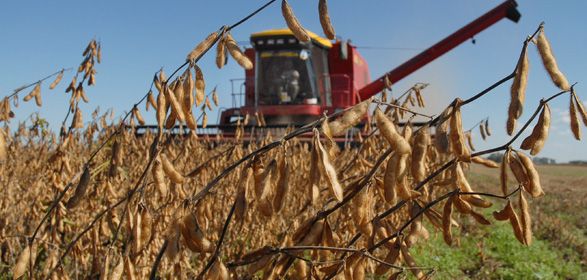 Pode faltar caminho e ceifas durante a colheita