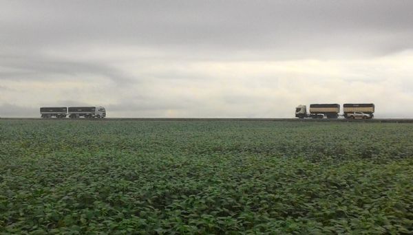 Colheita da soja avana em Mato Grosso; produtividade indefinida
