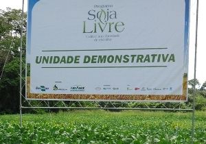Sementes de soja convencional agora possuem certificao