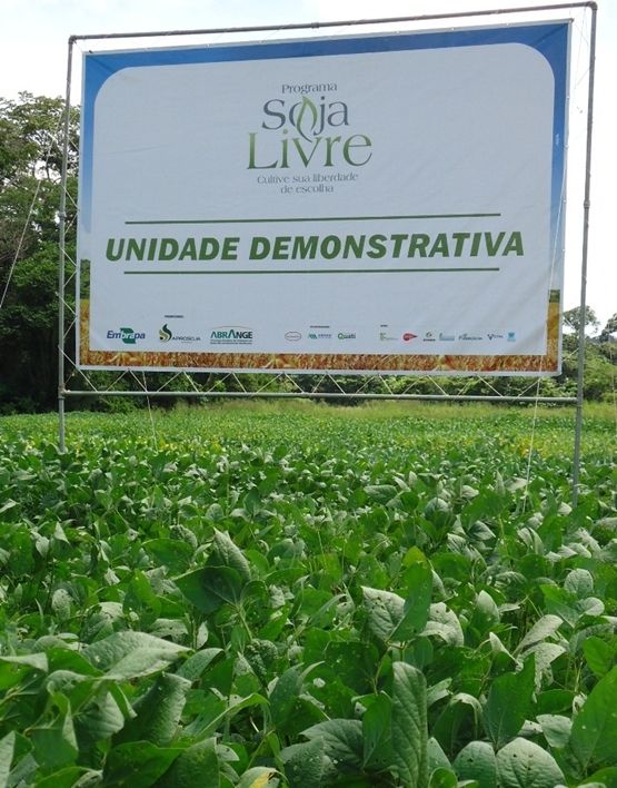 A soja no geneticamente modificada ou livre de transgnicos e seus derivados  mais valorizada no exterior