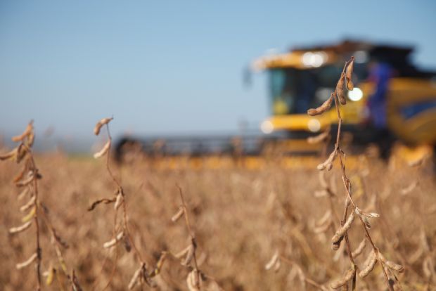Monsanto abre mais de 40 vagas de estgio entre Mato Grosso e outros nove Estados