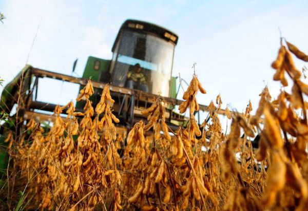 Prazo para colheita de soja encerra dia 20 de maio, alerta Famato
