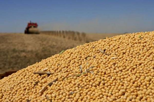 Brasil colher um recorde de 81 mi t de soja em 12/13, diz USDA