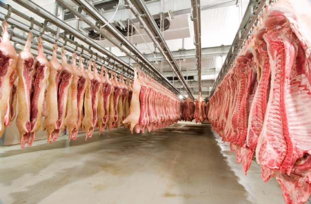 Produtores de suínos de MT chegam a registrar prejuízos de até R$ 70 por animal abatido