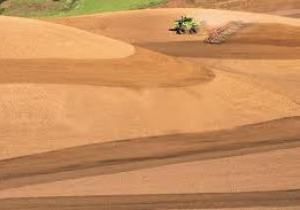 Nove milh�es de hectares de pastagem podem se transformam em lavoura em Mato Grosso