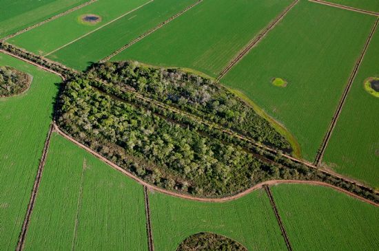 Apenas 3,3% das reas agrcolas brasileiras so arrendadas; Organizao alerta para uso mais eficiente da terra