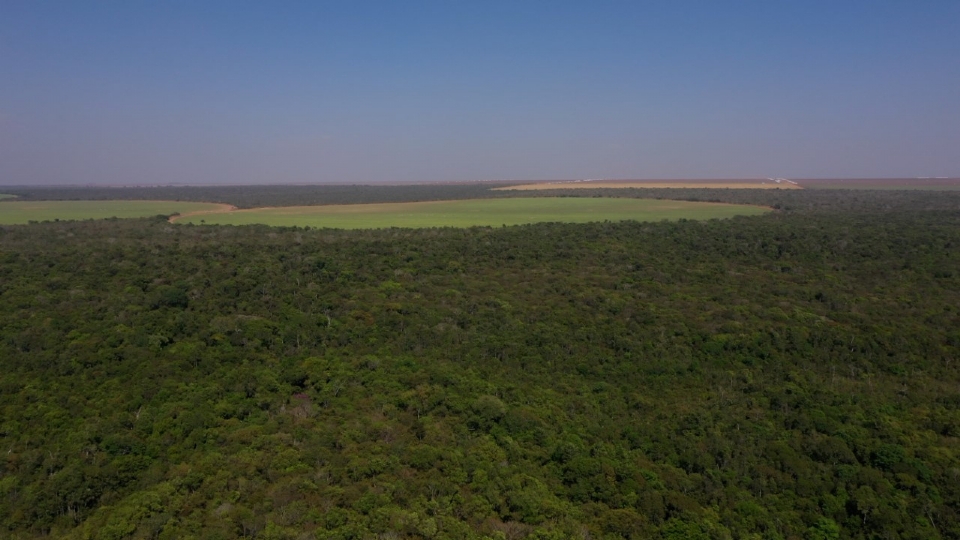 A fazenda Itamarati, de propriedade da AMAGGI, possui 47,5 mil hectares de reas preservadas