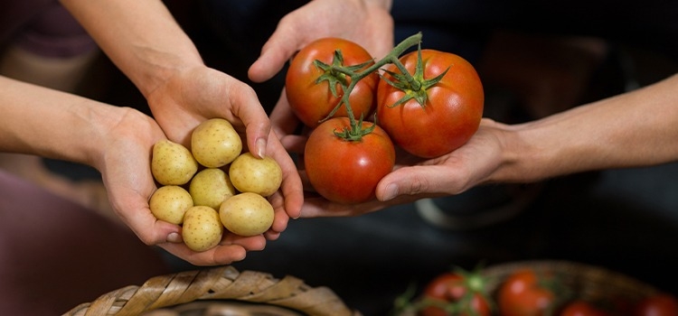 Tomate e batata ajudam a reduzir o preço da cesta básica na última semana de julho