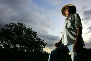 Mato Grosso  o estado que melhor paga trabalhadores rurais em todo pas