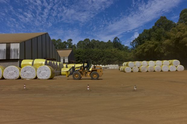 Com lance mnimo de R$ 64 milhes, fazenda em MT vai a leilo eletrnico; grupo passa por recuperao judicial