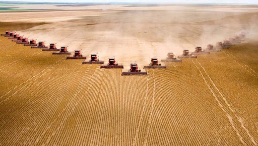 Sorriso e outras 21 cidades agrcolas de MT esto entre as mais ricas do Brasil, segundo IBGE;  veja lista 