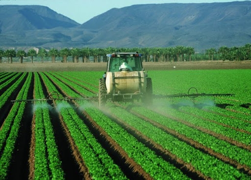 Regio Oeste de Mato Grosso avana e entra em nova fase de crescimento