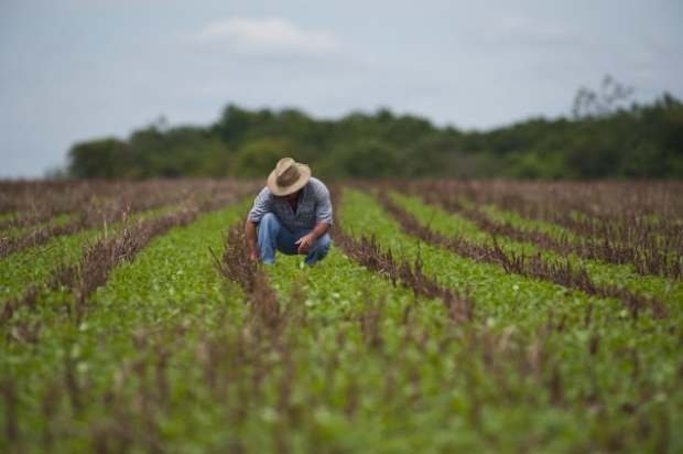 Programas de orientao e cursos levam sade e qualidade de vida ao homem do campo