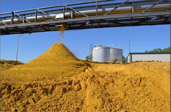 Usinas de etanol podem gerar mais de 2 mil empregos pelo Estado; estudo aponta viabilidade econômica e ambiental